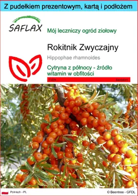 Zdjęcie produktu dla SAFLAX - Zestaw prezentowy - Rokitnik Zwyczajny - 40 Nasiona - Z pudełkiem upominkowym, etykietą wysyłkową, kartą podarunkową i podłożem uprawowym - Hippophae rhamnoides
