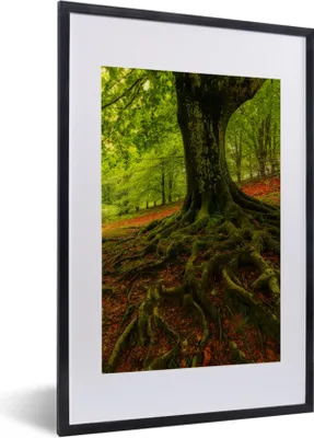 Produktbild von MuchoWow® Gerahmtes Poster Baum - Wald - Herbstblätter 40x60 cm - Poster mit Schwarzem Bilderrahmen Wandposter Rahmen Foto Bilder - Poster in Rahmen