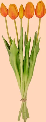 Produktbild von Tulpenstrauß – 5 Stück – Verschiedene Farben – ‘Real Touch’ Kunsttulpen – 42 cm