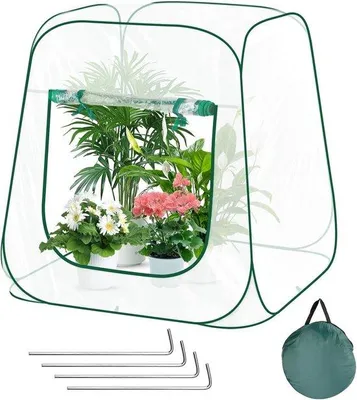 Produktbild von Famanu Mini Gewächshaus Winter - Pop-up Design - 100 x 100 x 97 cm - Transparent Grün