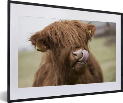 Produktbild von MuchoWow® Gerahmtes Poster Schottischer Highlander - Braun - Kuh 60x40 cm - Poster mit Schwarzem Bilderrahmen Wandposter Rahmen Foto Bilder - Schlafzimmer - Plakat in Rahmen - Drucken
