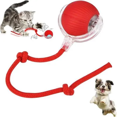 Produktbild von Interaktives Katzenspiel für Innenkatten, 360° rollend, USB-ladbar, bewegend