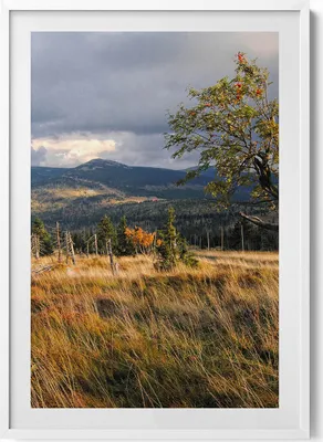 Produktbild von Riesengebirge im Herbst– Wandbild mit Rahmen – Gerahmtes Bild  – Wanddekoration – 70x100 cm –  Weiß Rahmen