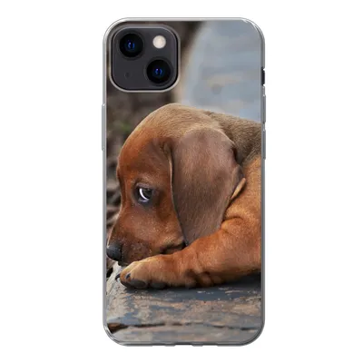 Produktbild von MuchoWow® Handyhülle Schutzhülle Hülle für iPhone 13 Dackelwelpe liegt am Rande des Bürgersteigs Silikon Softcase Handy Hülle - Karteninhaber