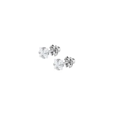 Produktbild von Damenohrringe Lotus WS00054/4 Metall