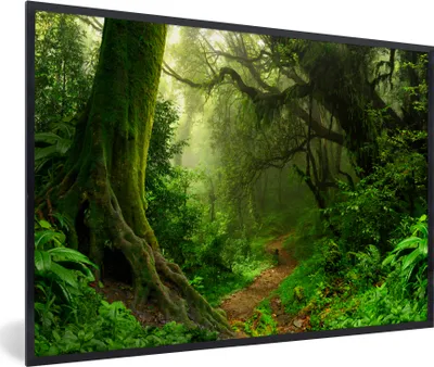 Produktbild von MuchoWow® MuchoWow® Gerahmtes Poster Dschungel - Pfad - Nepal - Jungen - Mädchen - Kind 90x60 cm - Poster mit zchwarzem Bilderrahmen - Fotorahmen - Foto-Plakat