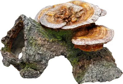 Immagine prodotto di Aqua Ornaments "Grotta in legno con funghi" 18 x 19 x 10 cm