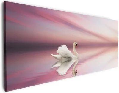 Produktbild von Wallario Premium Leinwandbild Weißer Schwan im rosafarbenen See in Größe 60 x 150 cm