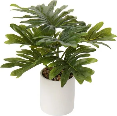 Zdjęcie produktu dla Unyqoos® Monstera, sztuczna roślina (31 cm) w ceramicznej doniczce (średnica 11 cm) – łatwa w pielęgnacji, plastikowa roślina do dekoracji biura, łazienki, sypialni i salonu