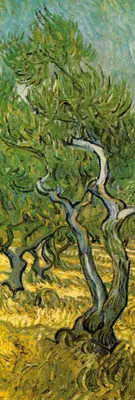 Produktbild von Vincent Van Gogh Kunstdruck Bild - Olivenhain, 1889 (158 x 53 cm)