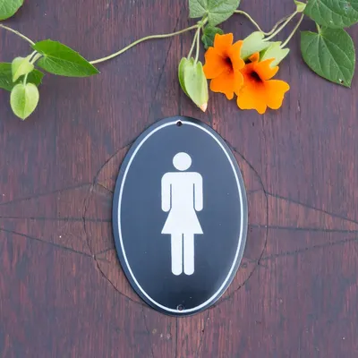 Produktbild von Toilettenschild Emaille, WC-Schild Frau in oval, Türschild für Damentoilette