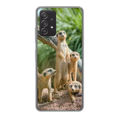 Produktbild von MuchoWow® Handyhülle Schutzhülle Hülle für Samsung galaxy a73 Familie - Tiere - Erdmännchen Silikon Softcase Handy Hülle - Handyhülle