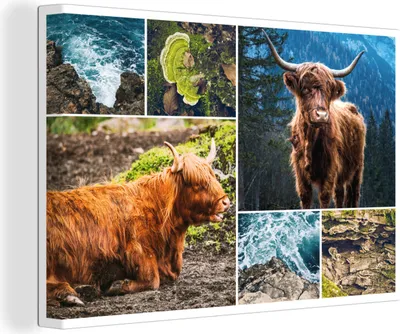 Produktbild von OneMillionCanvasses® - Leinwandbilder - 150x100 cm, Schottisches Hochlandrind - Berg - Meer, Wandbilder Wohnzimmer Hochland Rind - Tier Wanddekoration - Hochland Rind - Kuh - Gemälde auf Holzrahmen
