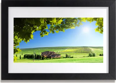 Produktbild von Bild 30x20 MDF-Rahmen Wandkunst Blätter-Feld-Landschaft