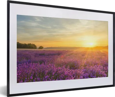 Produktbild von MuchoWow® Gerahmtes Poster Lavendel - Sonnenuntergang - Bäume - Lila 60x40 cm - Poster mit Schwarzem Bilderrahmen Wandposter Rahmen Foto Bilder - Schlafzimmer - Plakat in Rahmen - Drucken