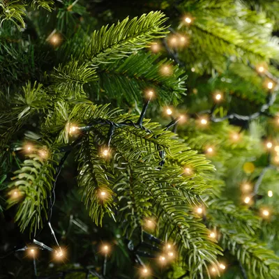 Immagine prodotto di Kaemingk Lumineo luci fiabesche compatte 500 LED classiche calde per esterni 11 m verde