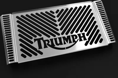 Obrázek produktu pro Kryt chladiče ZIEGER kompatibilní s Triumph Speed Triple 1050 BJ 2009-10 designové logo stříbrná
