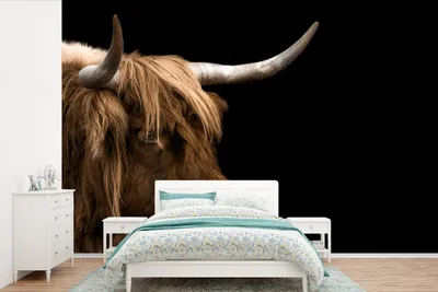 Produktbild von MuchoWow® Fototapete für Wohnzimmer oder Schlafzimmer Wandtapete Vinyl Motivtapete Schottischer Highlander - Tiere - Kuh - 420x280 cm - Zimmer für Kinder