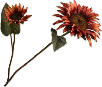 Produktbild von Silk-ka Kunstblume - Seidenblume Sonnenblumenzweig braun-orange 75cm