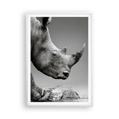 Produktbild von Gerahmtes Poster - Weißer Rahmen - Nashorn Monochrom Tier - 70x100 cm - Wand Bild - Wanddeko - Wandbilder - Kunstposter - Wandposter - Bilderrahmen - Bilder - Kunstdruck - P2WPA70x100-4954