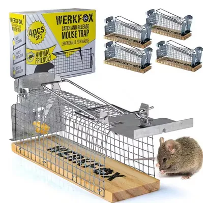 Produktbild von Werkfox Lebendfalle für Mäuse 4er Set – Tierfreundliche Mausefalle, wiederverwendbar & sicher, Tierschutzgerechte Nagerfalle ohne Gift