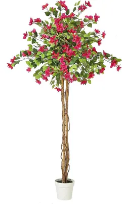 Produktbild von Künstlicher Bougainvillea-Baum - Bodenpflanze - 180 cm - Seidenblätter - Rosa Blüten - 2er-Set - Milchweißer Übertopf
