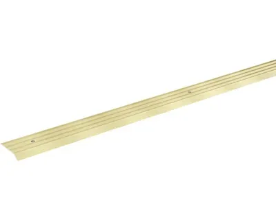Produktbild von SKANDOR Anpassungsprofil champagner eloxiert gelocht 5x29x900 mm
