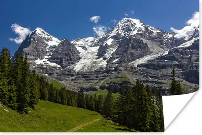 Produktbild von MuchoWow® Poster Wälder für die Berge Eiger und Monch in der Schweiz 60x40 cm - Schlafzimmerdekoration