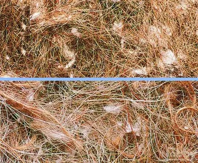 Image de Animalis Nistmaterial "Animale Vegetale" 500 g