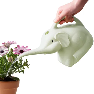 Image de Arrosoir décoratif pour intérieur