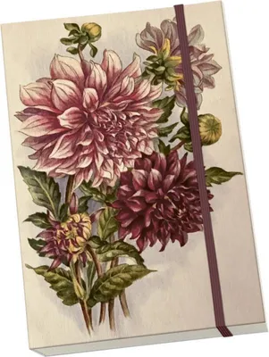 Obrázok produktu pre Notýsek Purple Flowers Dahlia