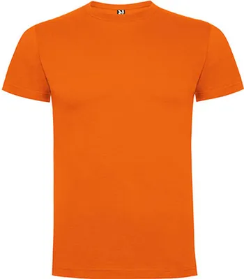 Zdjęcie produktu dla Męska koszulka Roly Dogo Premium T-Shirt