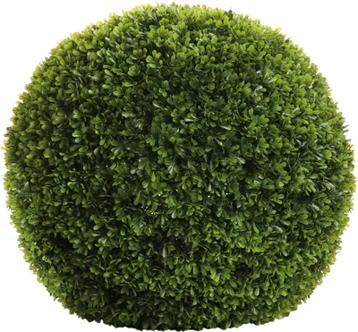 Produktbild von Fink BUXUS, Buchskugel, Kunststoff, grün, L. 32 cm, B. 32 cm, H. 32 cm, D. 30 cm 184391