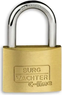 Produktbild von Burg Wächter Vorhängeschloss 222 45 C-Line 23.5 x 27.0 mm - 1 Stück