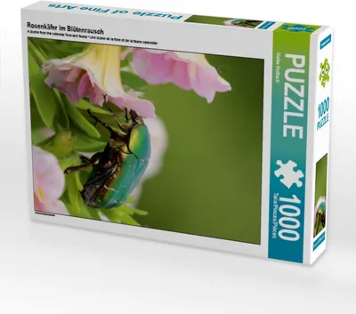 Produktbild von Calvendo Rosenkäfer im Blütenrausch 1000 Teile Puzzle hoch 480x640mm, Hultsch Heike; 7291697
