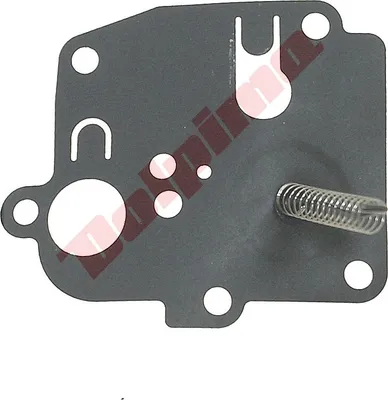 Immagine prodotto di Kit diaframma per Briggs&Stratton ( 391681 )