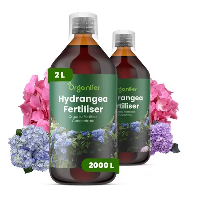 Produktbild von Hortensien Flüssigdünger 2x1L – 2-1-8 NPK – Flüssigdünger Für Blühpflanzen – Für Blätter & Üppige Blüten – Fördert Wurzeln & Vitalität – Organifer