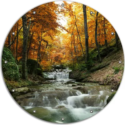 Produktbild von Wallario rundes Outdoor-Poster für Garten oder Balkon, Motiv Kleiner Bach über Steine im Herbstwald, 90 cm Durchmesser