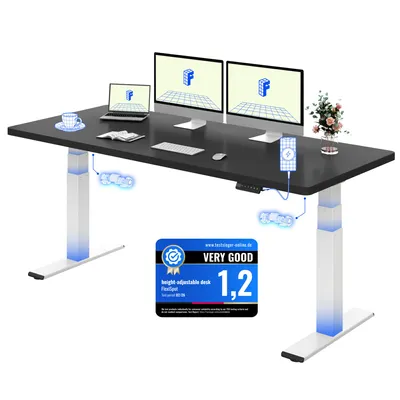 Image de Bureau réglable en hauteur FLEXISPOT ValtreX E200, 180 x 80 cm, capacité de charge de 200 kg, plateau monobloc de 25 mm, 2 moteurs, port USB, noir