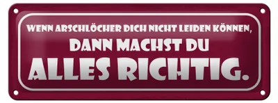 Produktbild von Blechschild Spruch 27x10cm wenn Arschlöcher dich nicht Dekoration