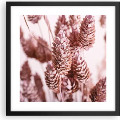 Produktbild von Gerahmtes Poster - Schwarzer Rahmen - Getrocknet Blume Eco - 40x40 cm - Wand Bild - Wanddeko - Wandbilder - Kunstposter - Wandposter - Bilderrahmen - Bilder - Kunstdruck - P2BAC40x40-4912
