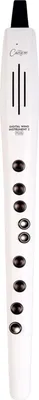 Obrázok produktu pre Carry-On Digital Wind Instrument 2 Plus Dychový MIDI kontrolér White