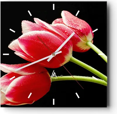 Produktbild von Wanduhr - Quadrat - Glasuhr - Tulpe garten blume blumenstrauß - 40x40cm - Schleichendes Uhrwerk - Lautlos - zum Aufhängen bereit - Dekoration Modern - Wanddekoration aus Glas - C3AC40x40-1494