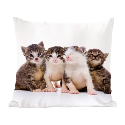 Produktbild von MuchoWow® Zierkissen Sofakissen Wohnzimmer Dekokissen 60x60 cm Katze - Haustiere - Fell - Porträt - Sitzfläche - Foto Polster