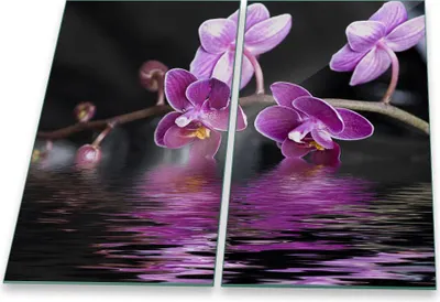 Produktbild von Herdabdeckplatte Abdeckung Glaskeramikkochfeld Abdeckplatte 2-Teilig 60x52 Orchidee Schutz