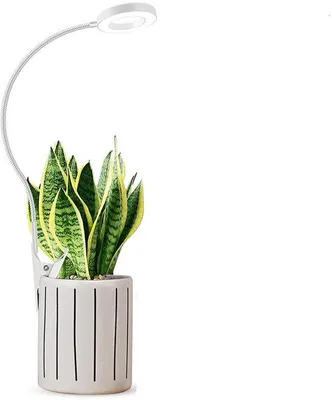 Produktbild von Vollspektrum LED-Pflanzengroßlicht, in Höhe verstellbar, mit abnehmbarem Clip, vollspektrum Pflanzengroßlicht mit Zahnradbügel