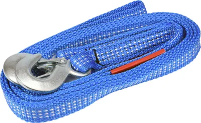 Obrázek produktu pro Tažný popruh 2500 kg s hákem