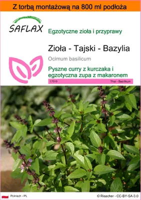 Zdjęcie produktu dla SAFLAX - Garden in the bag - Zioła - Tajski - Bazylia - 200 Nasiona - Z podłożem uprawowym w praktycznej, samorozkładającej się torbie - Ocimum basilicum