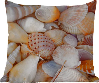 Produktbild von MuchoWow® Outdoor Kissen - Muscheln - Strand - Sommer - Orange - 40x40 cm - Wetterfest - Lounge Kissen - Kopfkissen - Interieur - Polster mit Bild