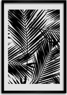 Produktbild von Bild - Bilderrahmen - 50 cm x 70 cm - MDF - Rahmen - Wandkunst Blätter der Palme